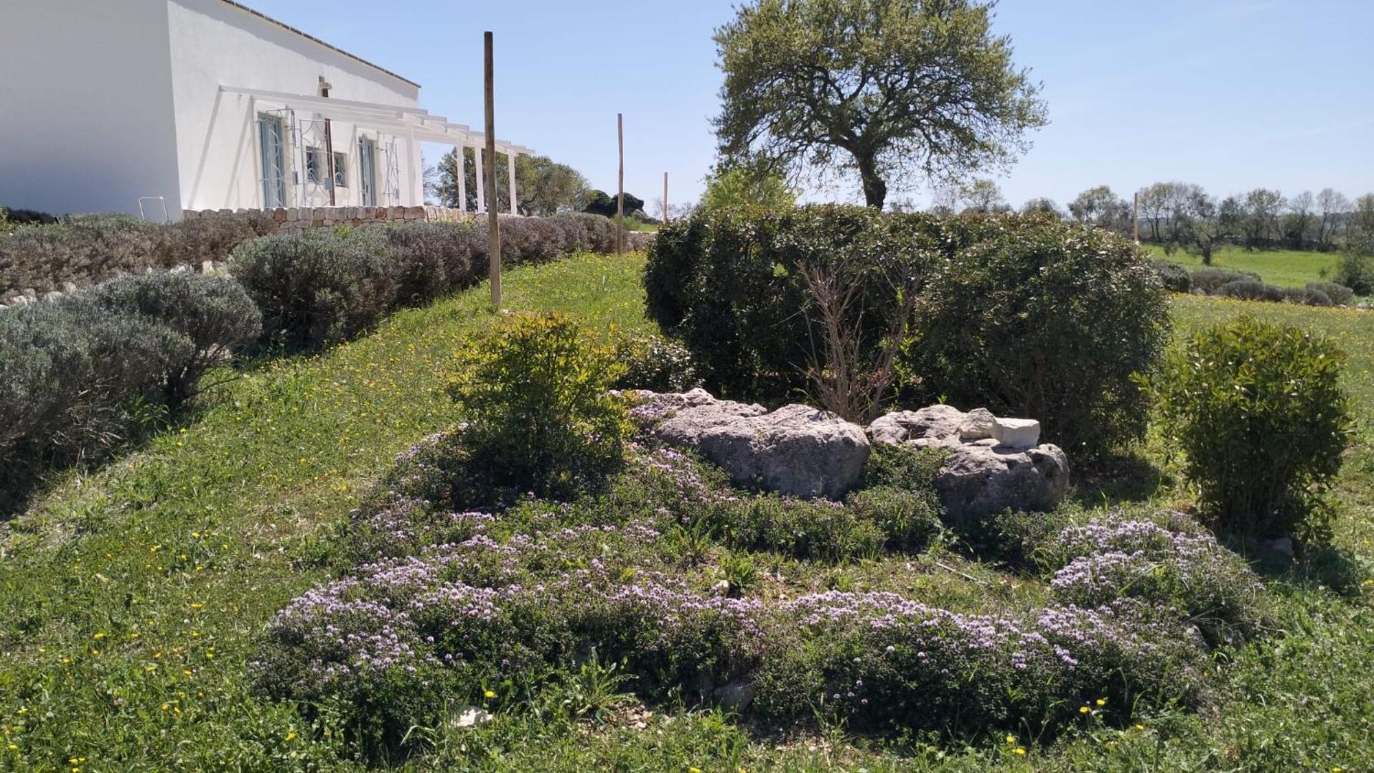 Trullo Dimora Podere Papilio Noci Exterior foto